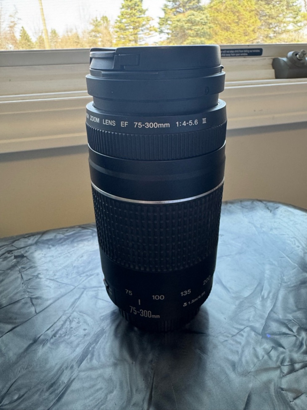 Canon 75-300mm Lens